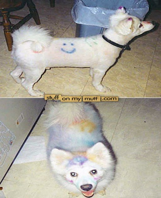 101