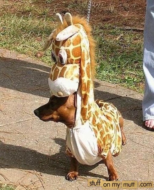 1307