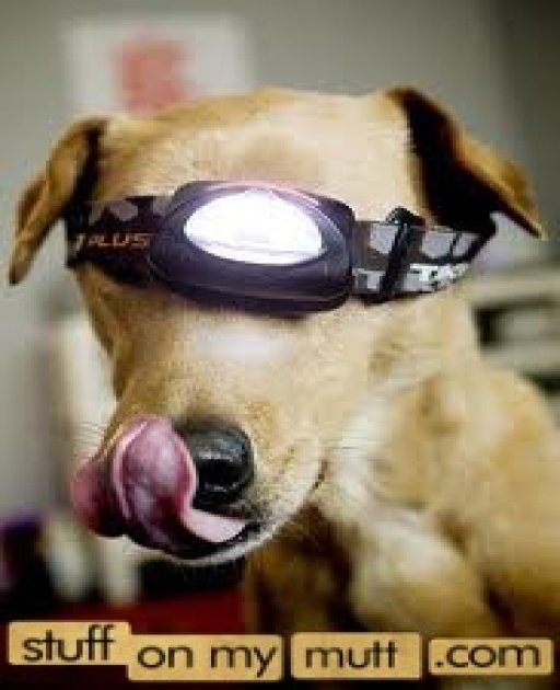 1342