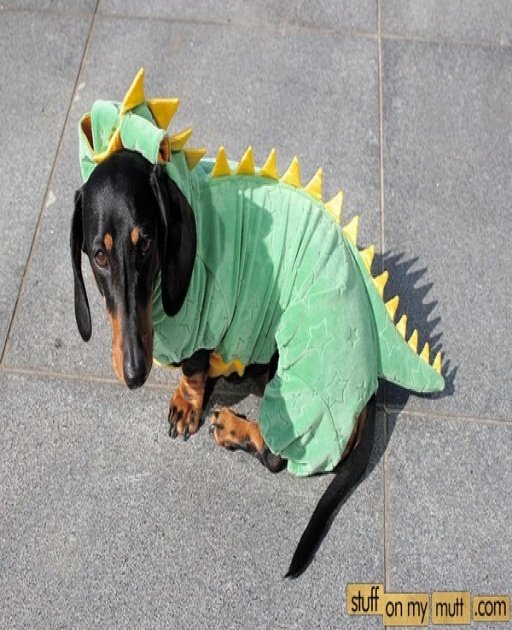 1402