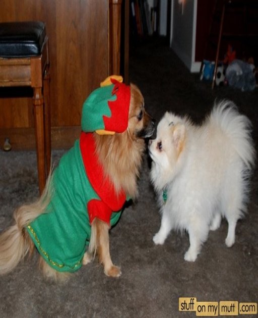 1477