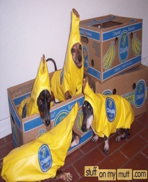 1567