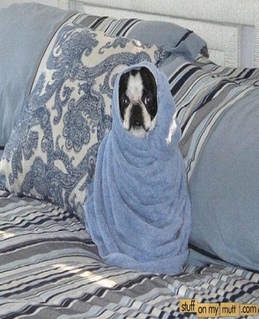1576