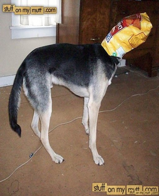 1753