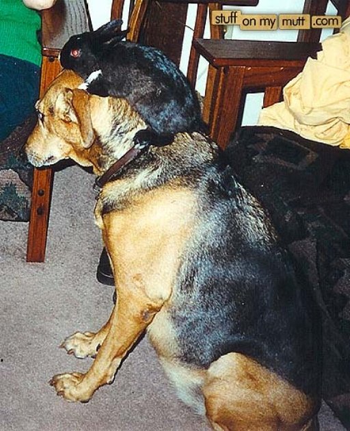 1987