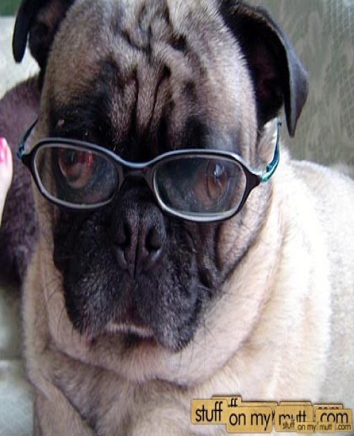 628