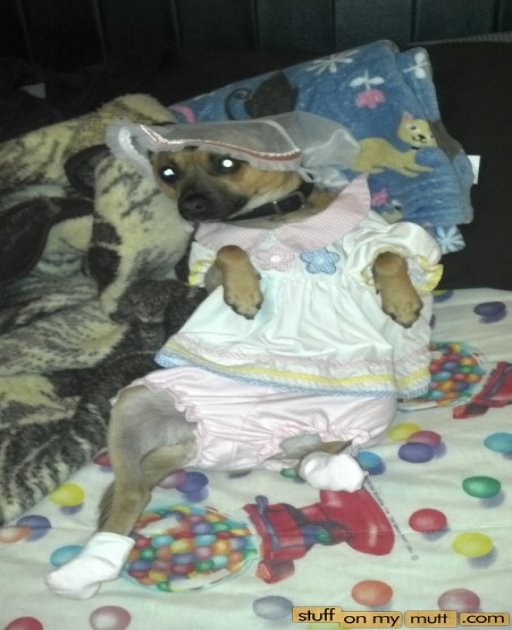 976